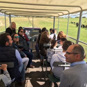 IMG-20190330-WA0010 IMG-20190330-WA0010