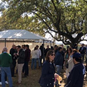 IMG-20190331-WA0005 IMG-20190331-WA0005