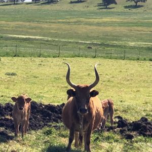 IMG-20190331-WA0007 IMG-20190331-WA0007