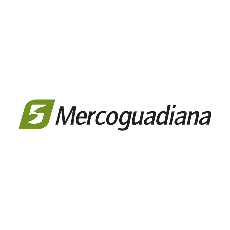 Mercoguadiana