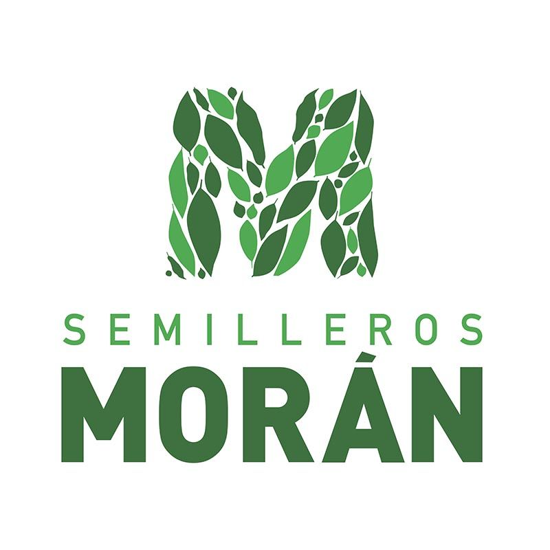 Semilleros Morán