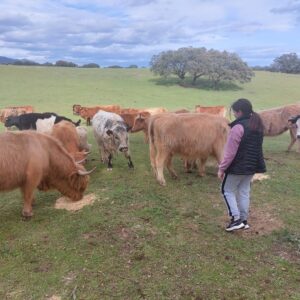 20230311_165741 20230311_165741