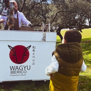 IMG-20230312-WA0020 IMG-20230312-WA0020