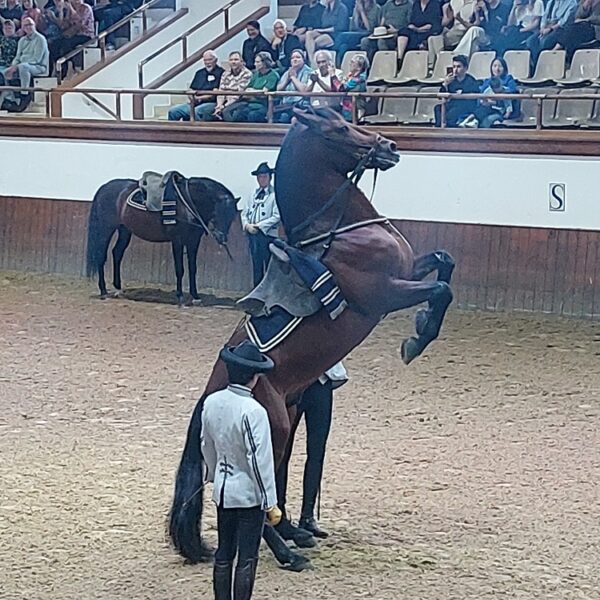 20231116_123807 20231116_123807