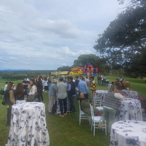 20240316_155313 20240316_155313