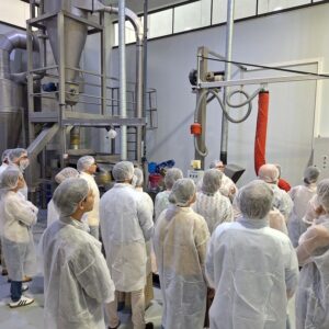 el camino de las empresas 6